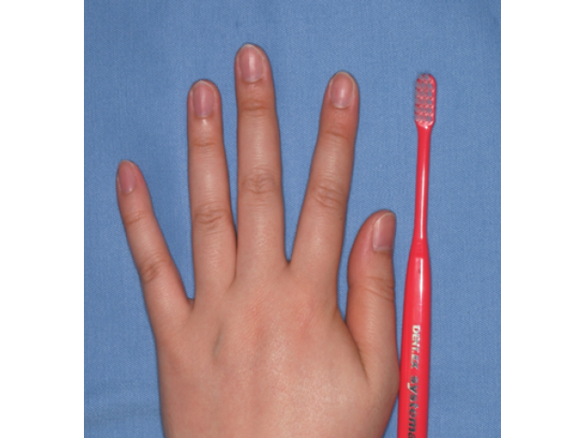 歯ブラシの毛先の大きさは、人差し指の第一関節より少し小さめを！