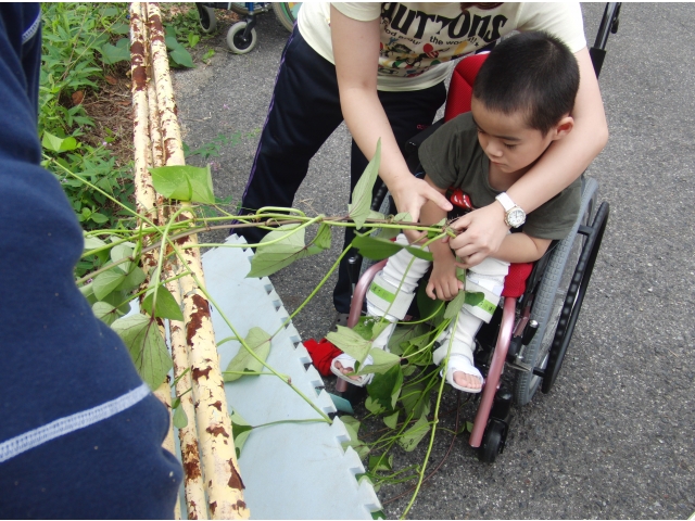 よいしょ、よいしょ！