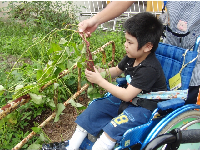 でてきた、でてきた!