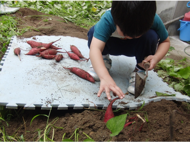 さつまいもた～くさん（8分音符）