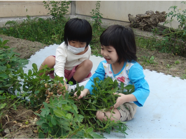 たくさんでてきました!!