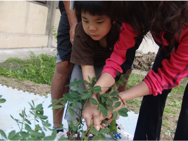 いっしょうけんめい引っ張っています！