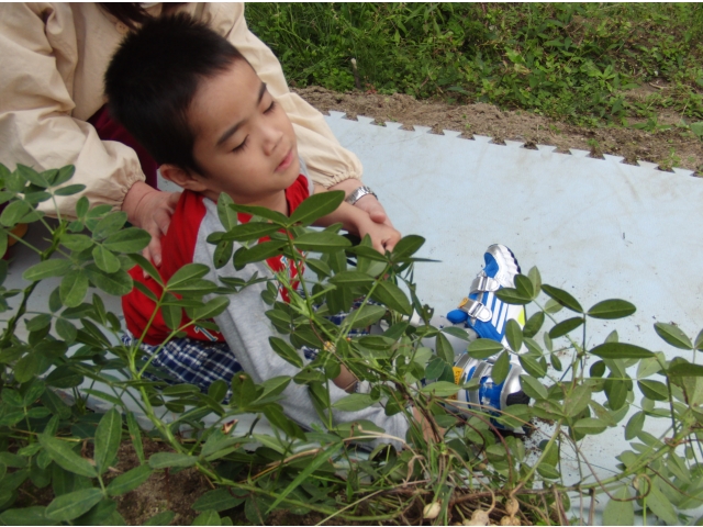 なんだか険しい表情です…