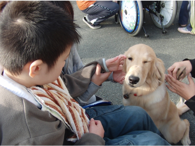 おとなしいから全然こわくないね！