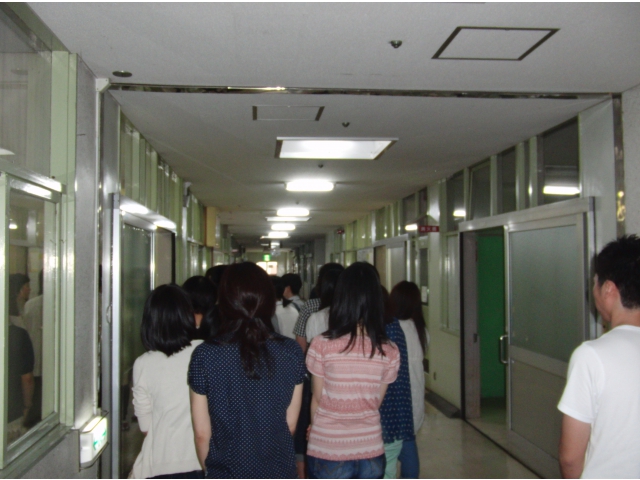 実際に見てみよう！