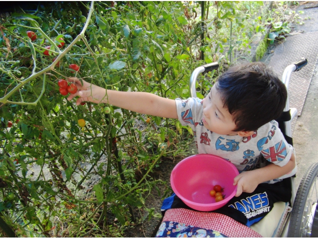 よいしょ、よいしょ（8分音符）