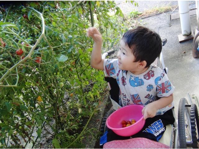 次はどこにあるかな？