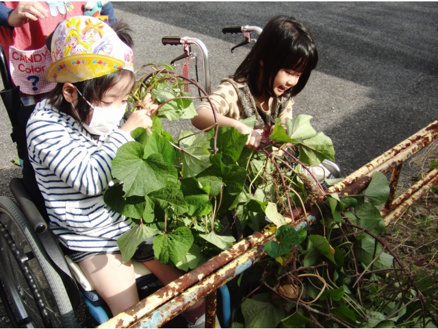 一緒にひっぱって～！