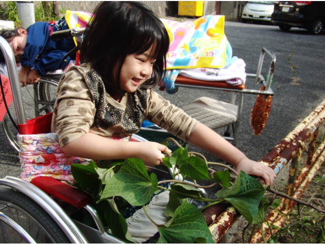 なかなかぬけないよ～。