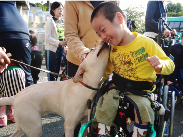 わあ、びっくり！！