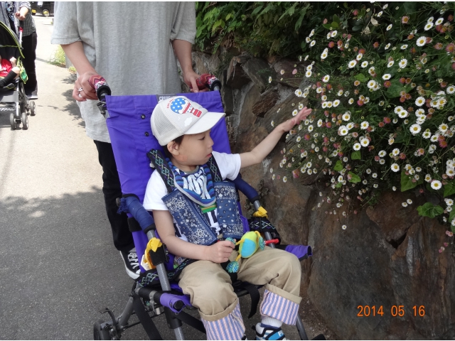 きれいなお花がいっぱい！