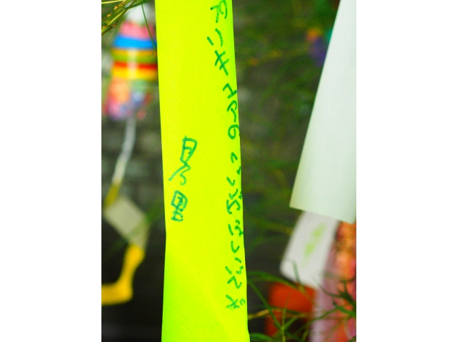 どんな願い事かな？