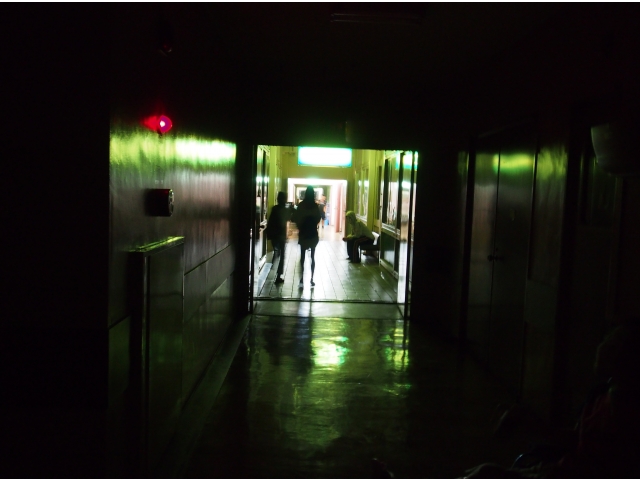 出口　目を合わせたら追っかけてきますよ。