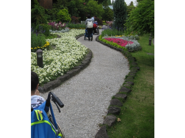 デンパーク内は花が満開でした