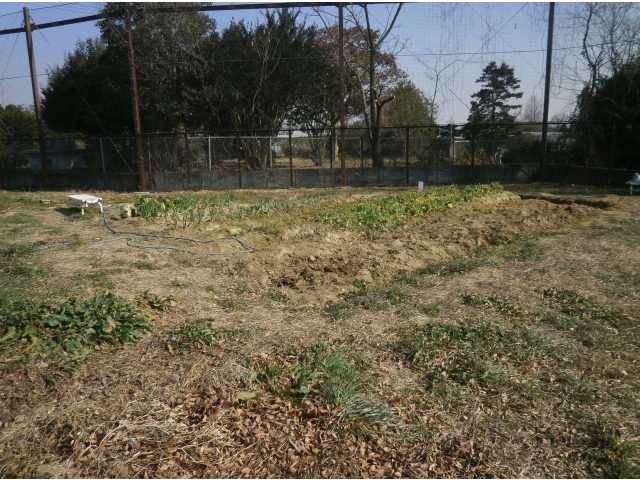 グラウンドの片隅にある農園☆彡