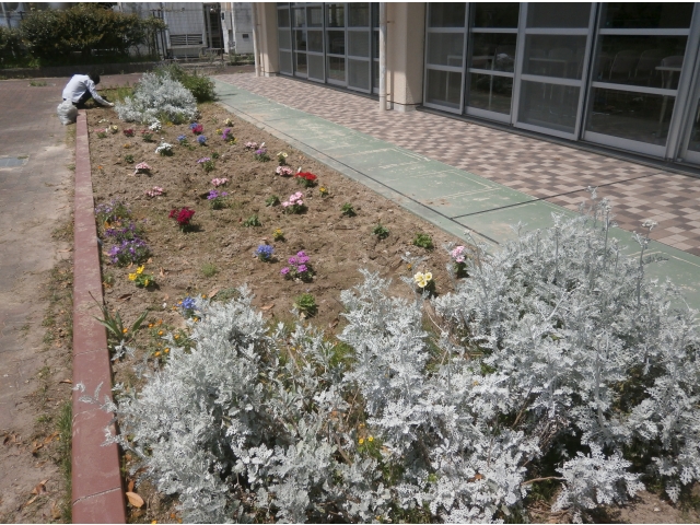 これから、たくさんきれいなお花が育ちますように～◎