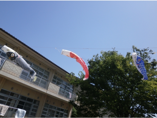 屋根より高い鯉のぼり～◎