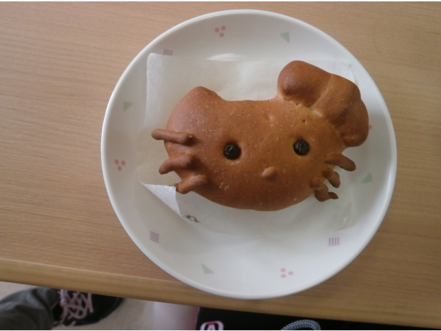 とても可愛くできました！