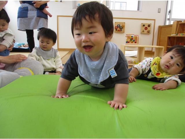 上まで登れたよ～！