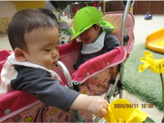 お花さわってみたよ～