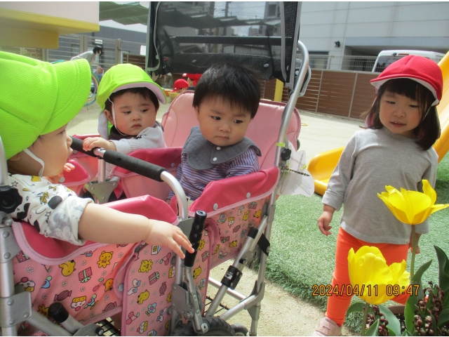 ちゅうりっぷきれいだね！