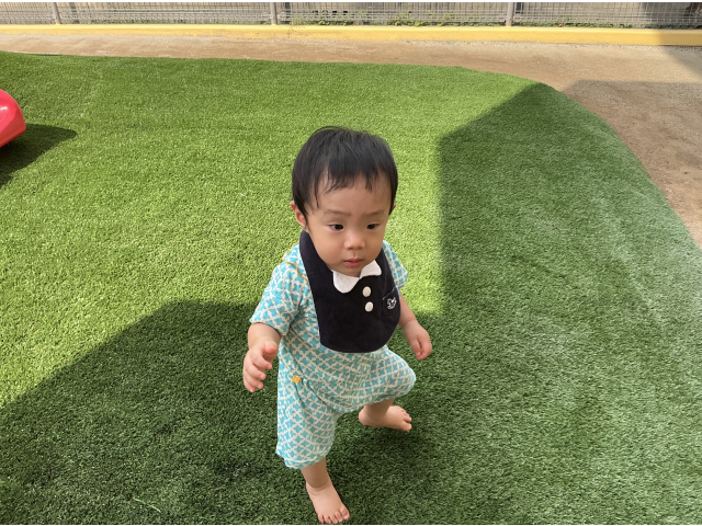 芝生の上をてくてく…上手に降りられるかな？