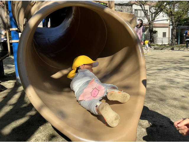 慎重にお尻側から！