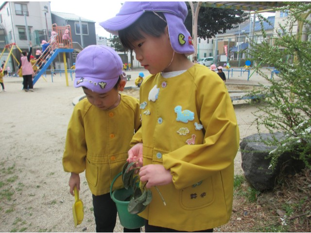 ぼくたちは葉っぱをたくさん集めたよ