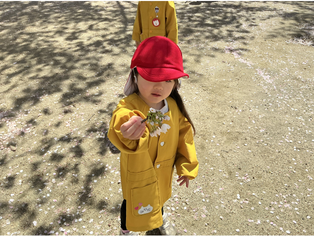 綺麗な桜見つけたよ