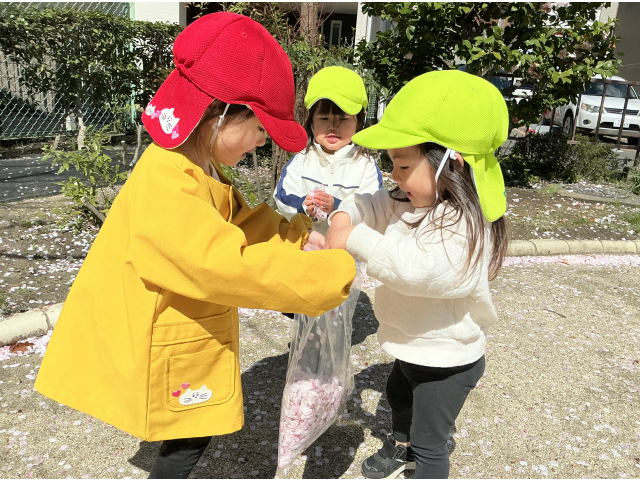 たくさん集めたよ🌸
