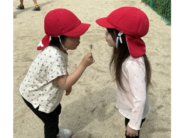 綿毛を優しくふ～っ！