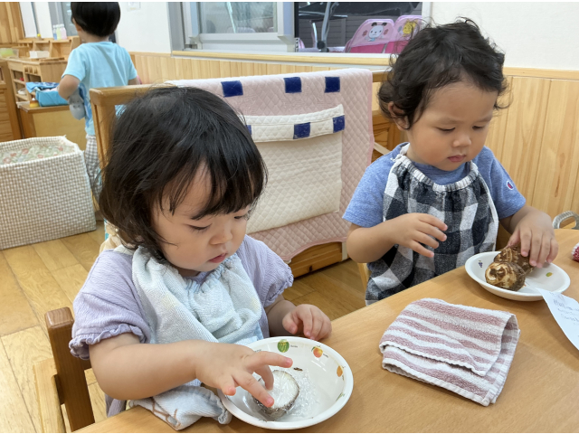 中は白いね