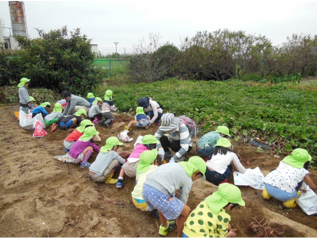 さあ、掘るよ～！