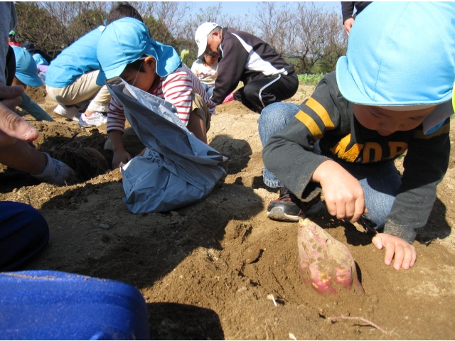 見えてるけど…