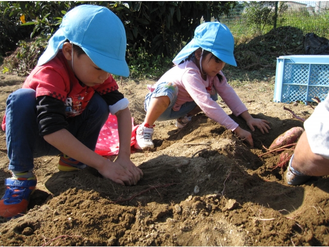 よいしょ、よいしょ