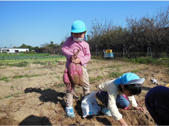 すごいでしょ！