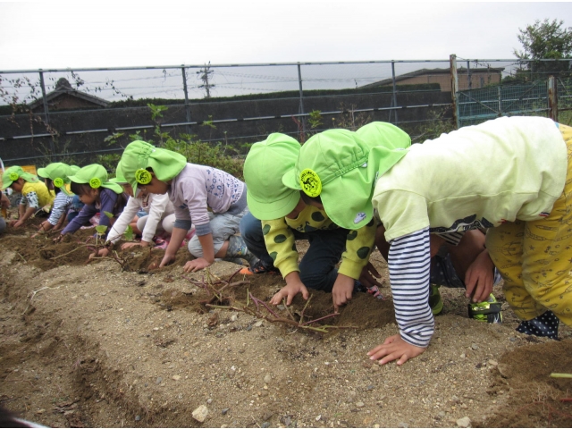 あっ、なんかあったよ！