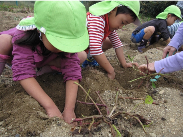 力が入ってます