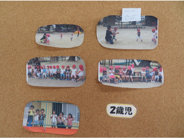 ﾁｭｰﾘｯﾌﾟ組・ﾏｰｶﾞﾚｯﾄ組