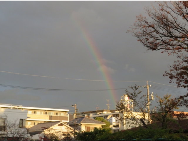 虹が見えた。
