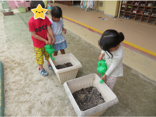 アサガオの水やりも忘れません！