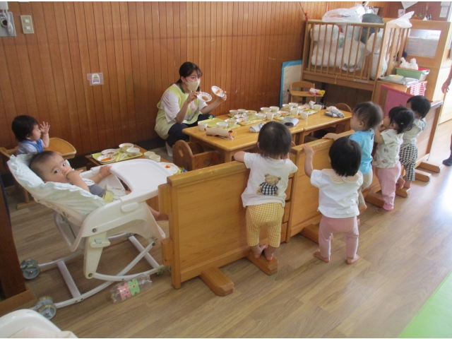 柵から一生懸命顔を出して覗いています👀