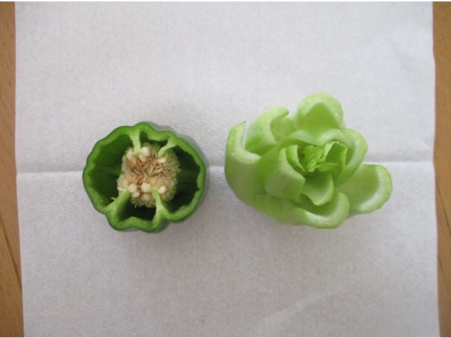 これが断面図です！