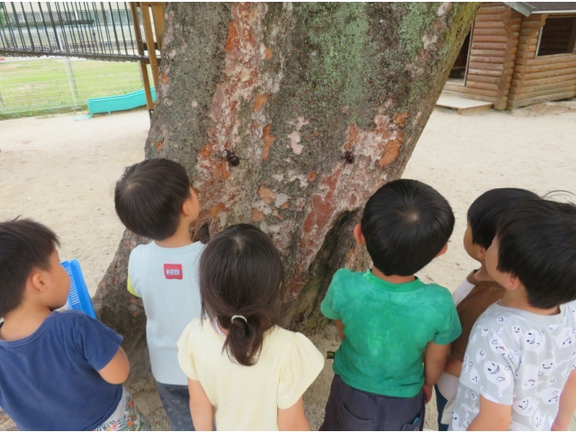 お別れをしています