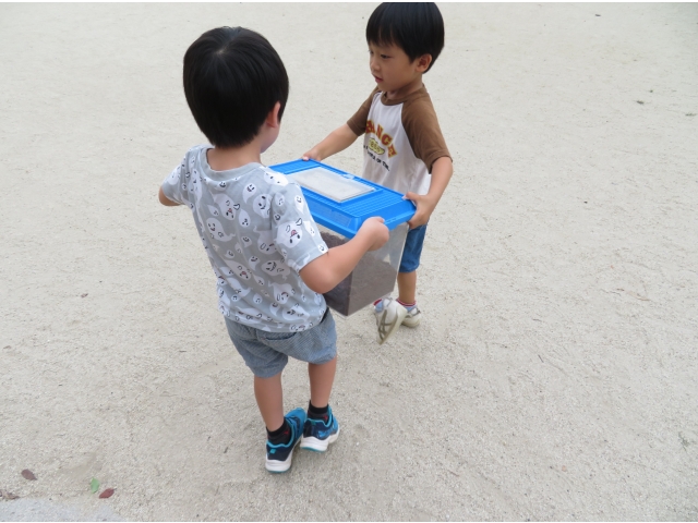 カブトムシを逃がしてあげよう！　どこがいいかなー