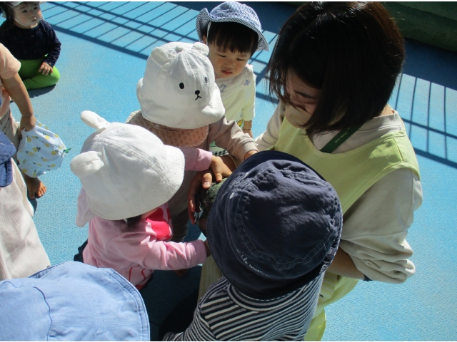 ハロウィン🎃だったので、かぼちゃをみんなで見て、触ってみました。