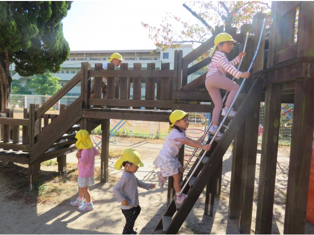 はしごを登るよ