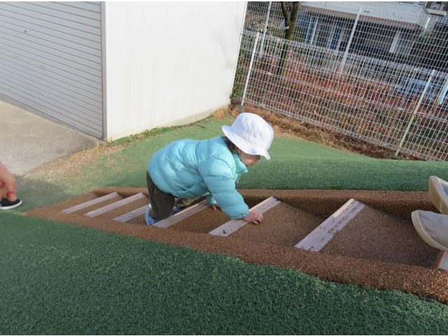 よいしょ、よいしょ