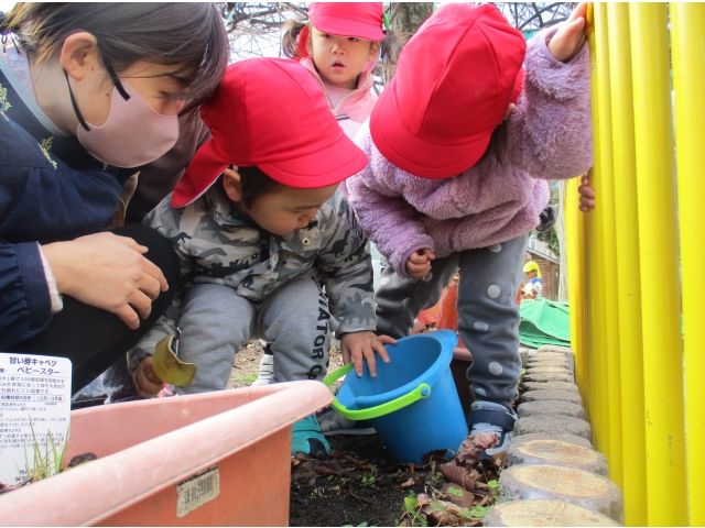 むしさんいるかな？寒いから土の中で眠っているね(˘ω˘)