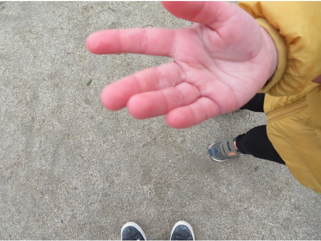 ぼくも見つけたんだ！